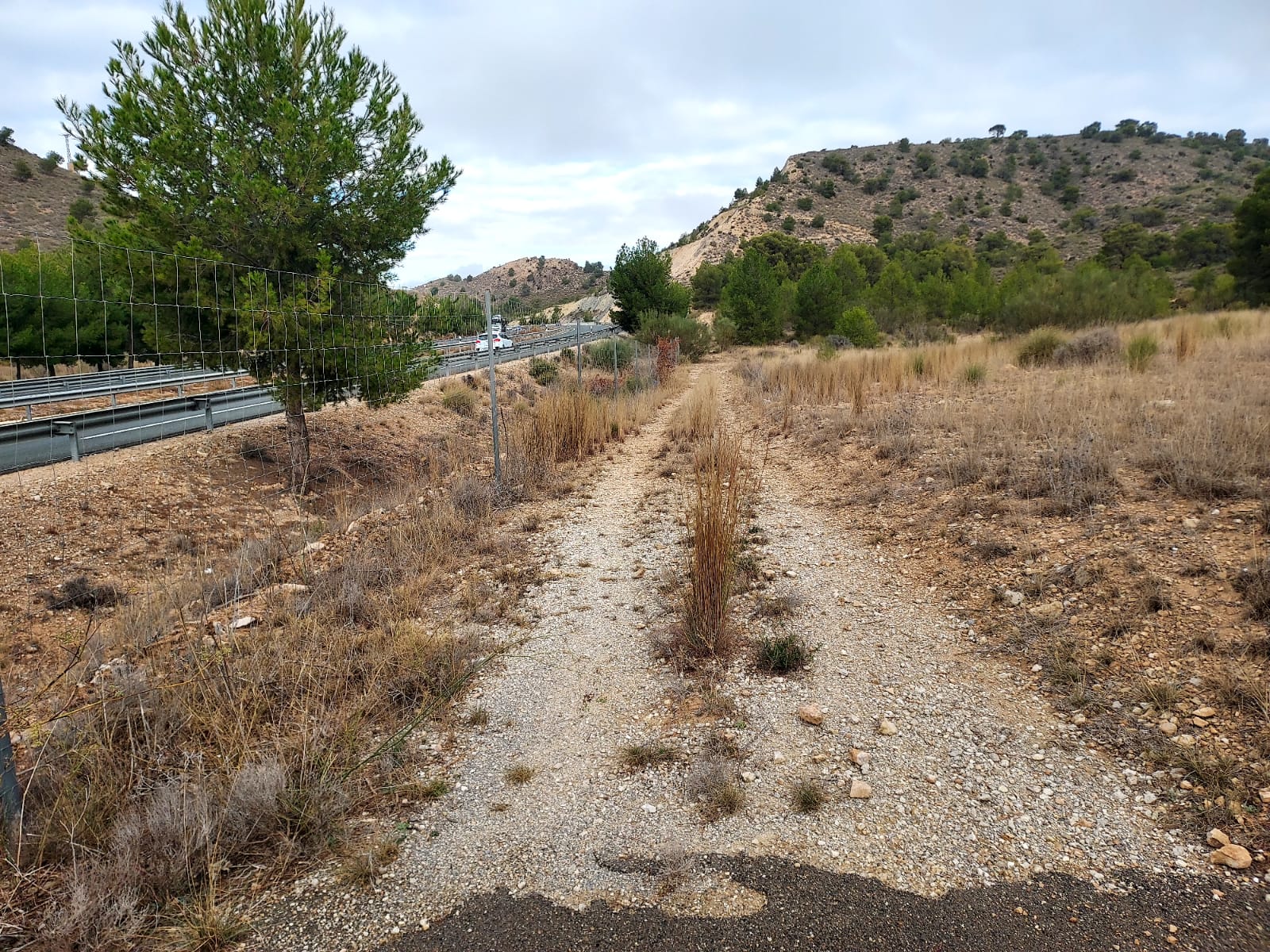 Venta de terreno en Cieza