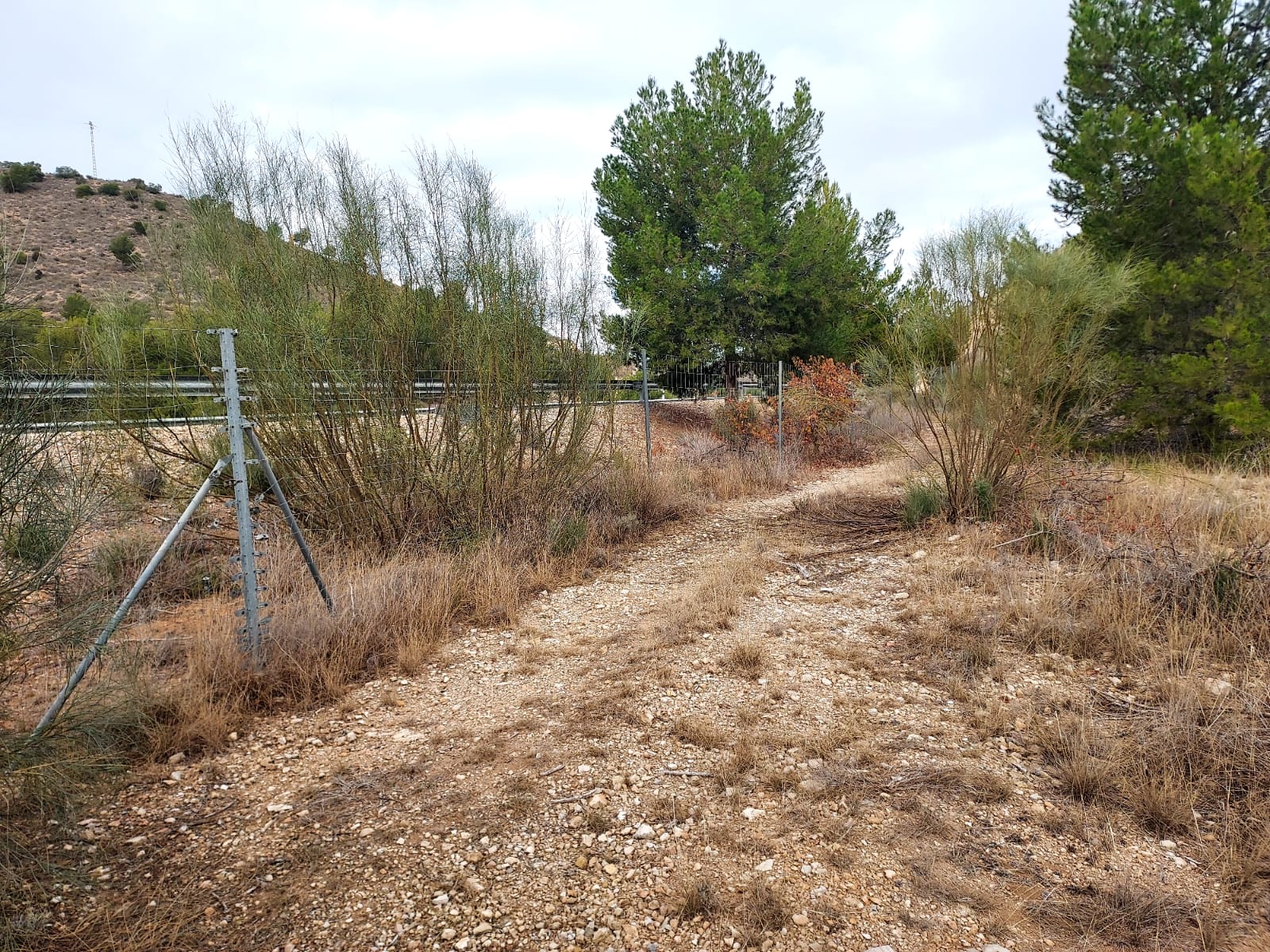 Venta de terreno en Cieza
