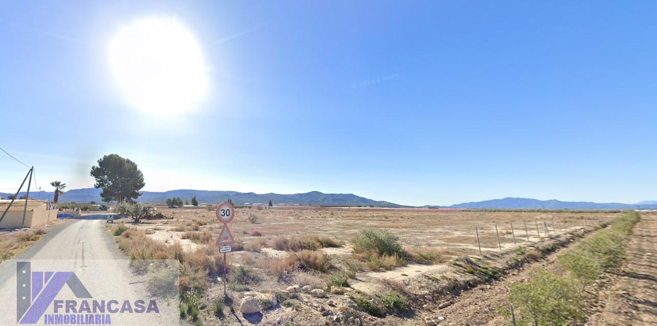 Venta de finca rústica en Jumilla