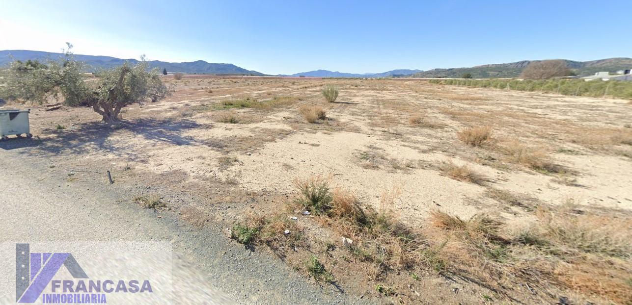 Venta de finca rústica en Jumilla
