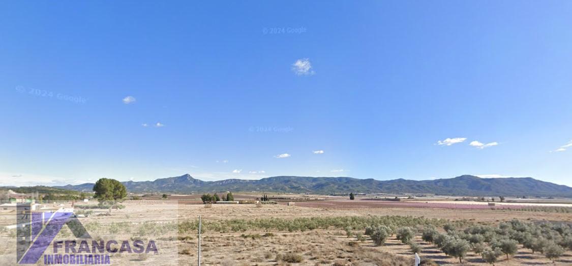 Venta de finca rústica en Jumilla