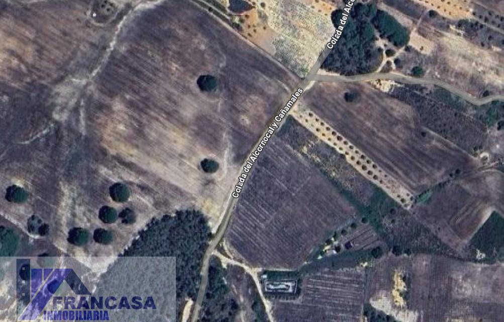 Venta de finca rústica en Niebla