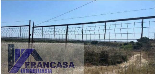 Venta de finca rústica en Niebla