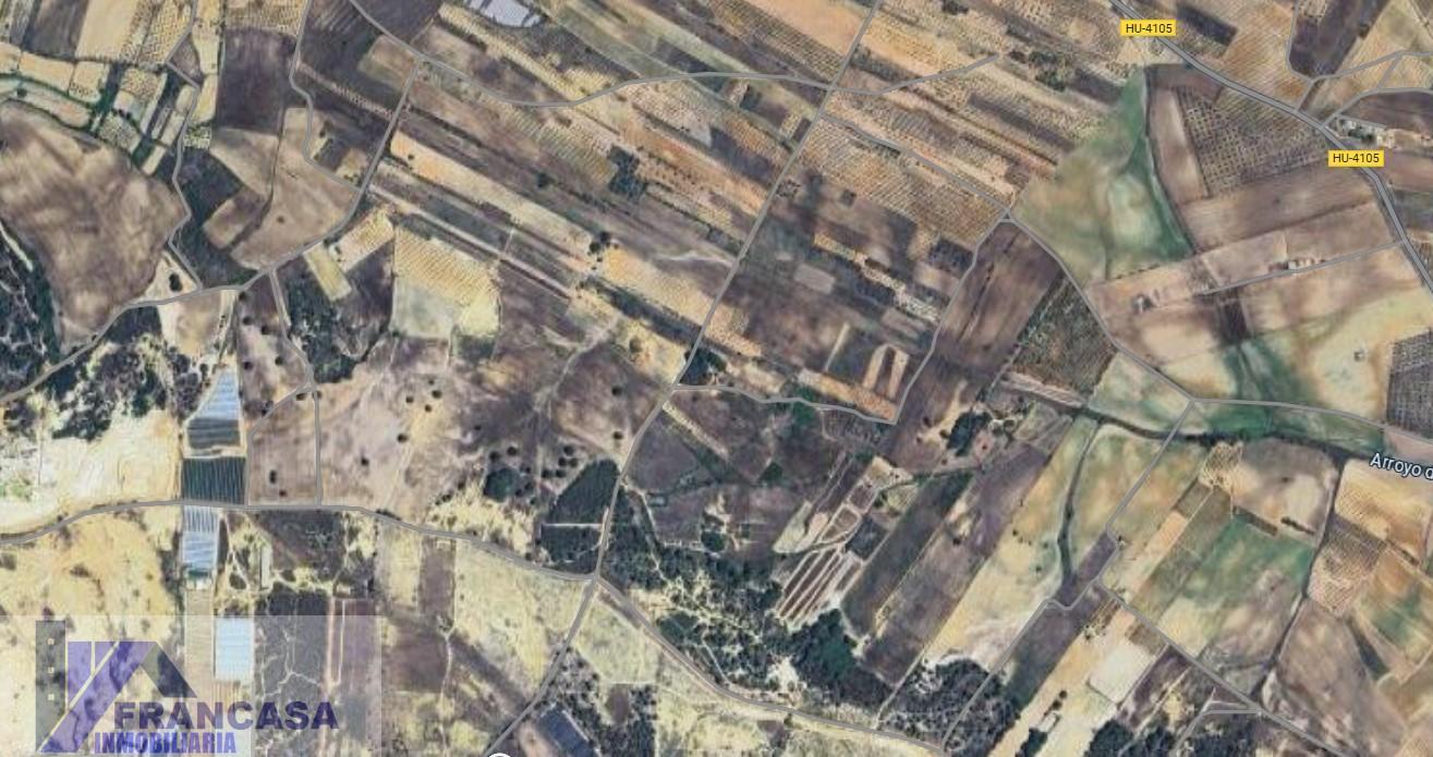 Venta de finca rústica en Niebla