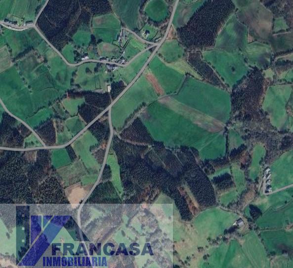 For sale of rural property in Friol