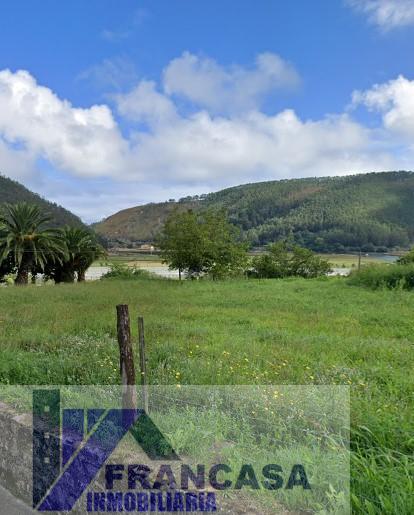 For sale of house in Ribadedeva