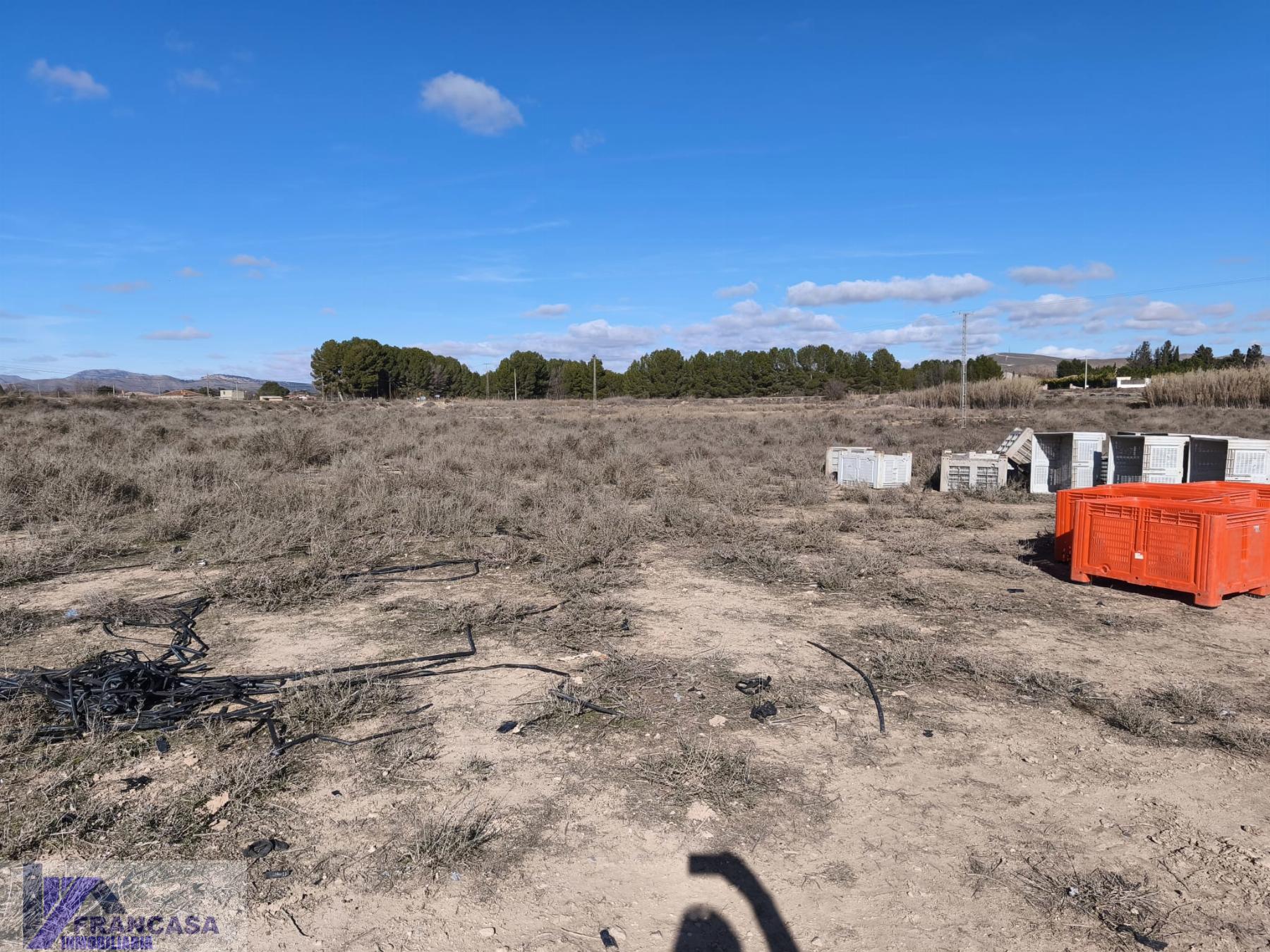 Venta de finca rústica en Hellín