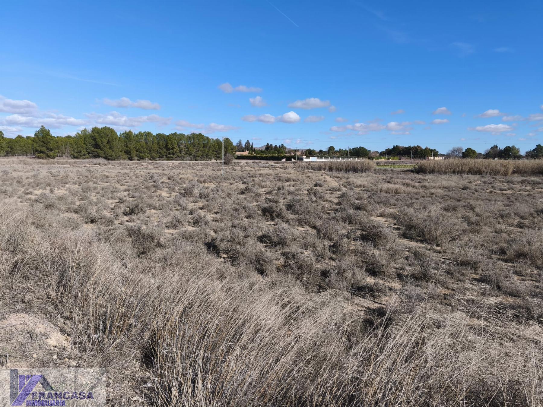 Venta de finca rústica en Hellín