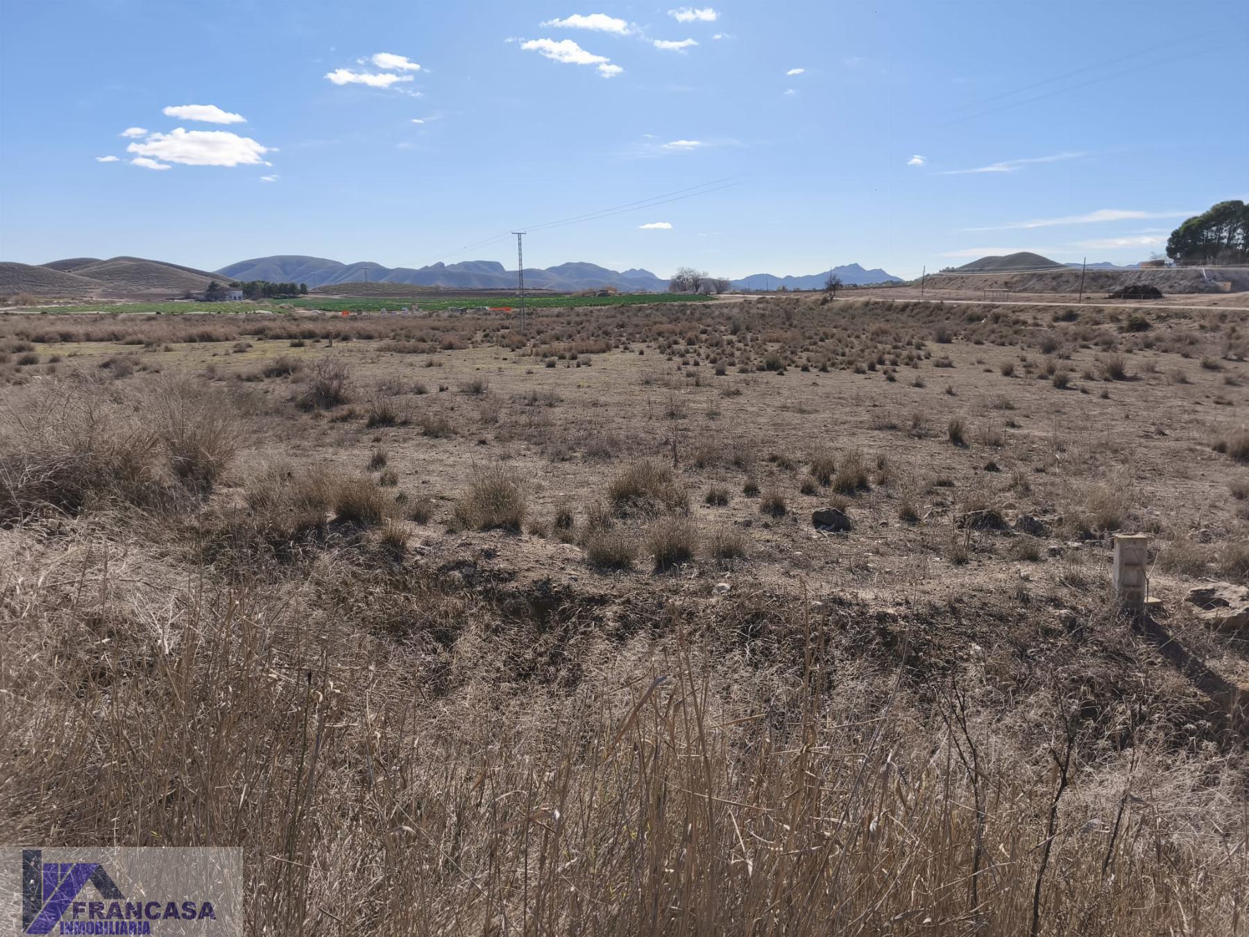 Venta de finca rústica en Hellín