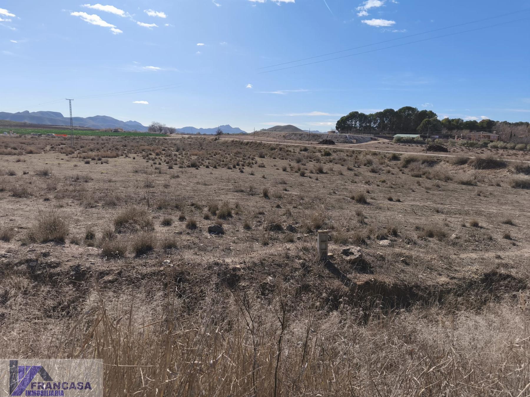 Venta de finca rústica en Hellín