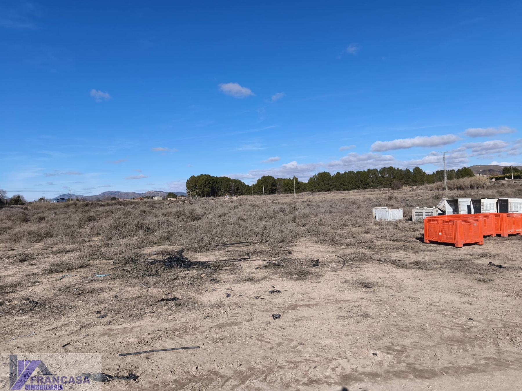 Venta de finca rústica en Hellín