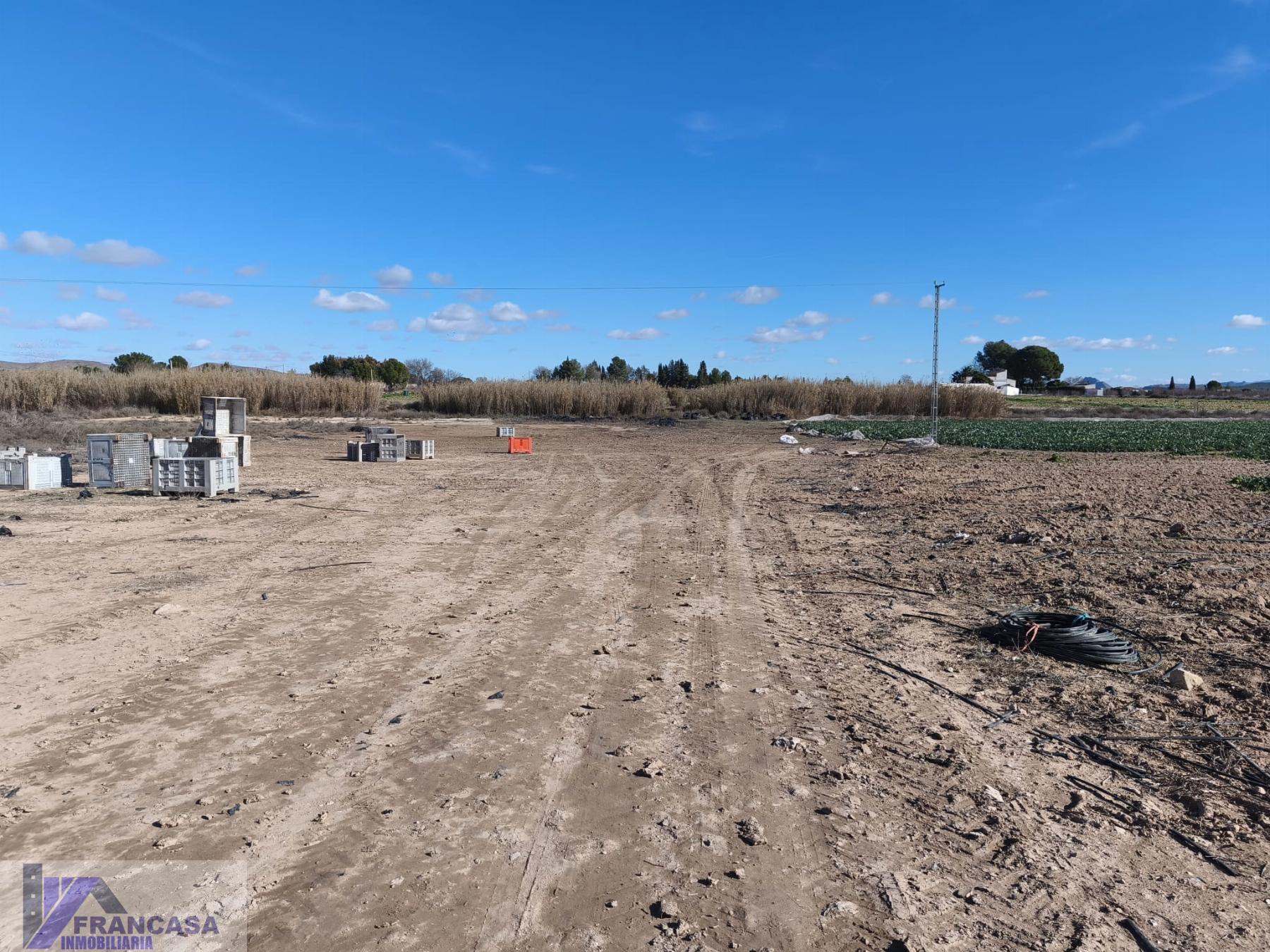 Venta de finca rústica en Hellín