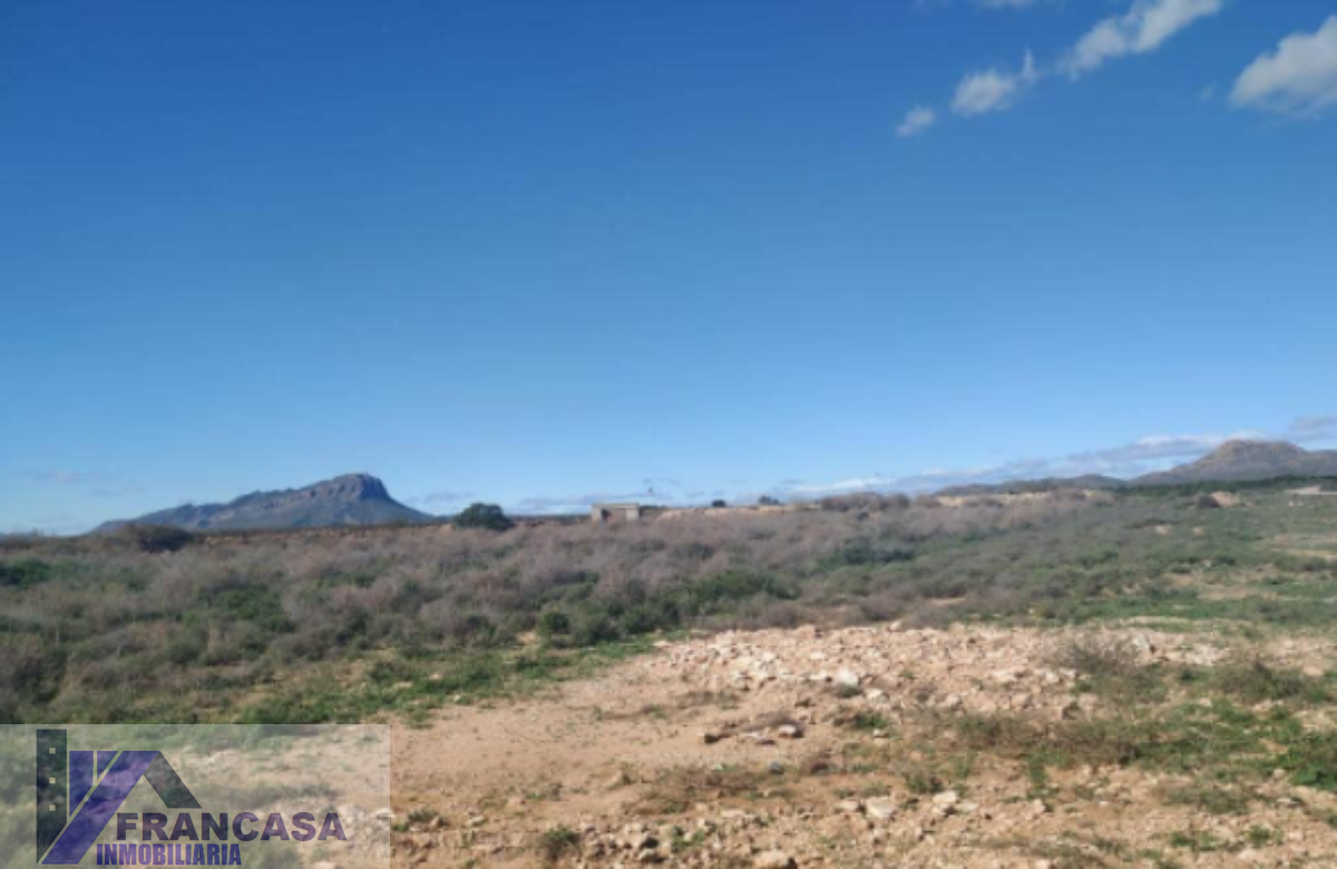 For sale of land in Cieza