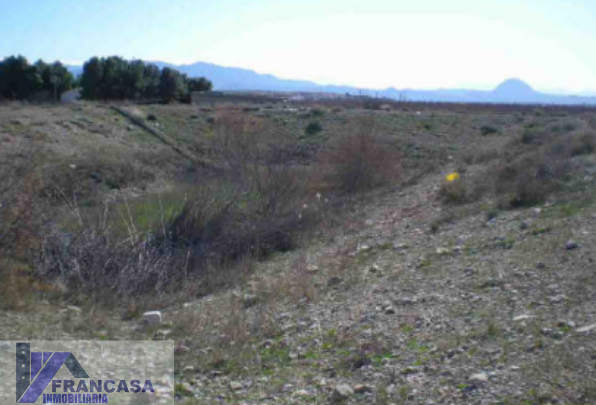 For sale of land in Cieza