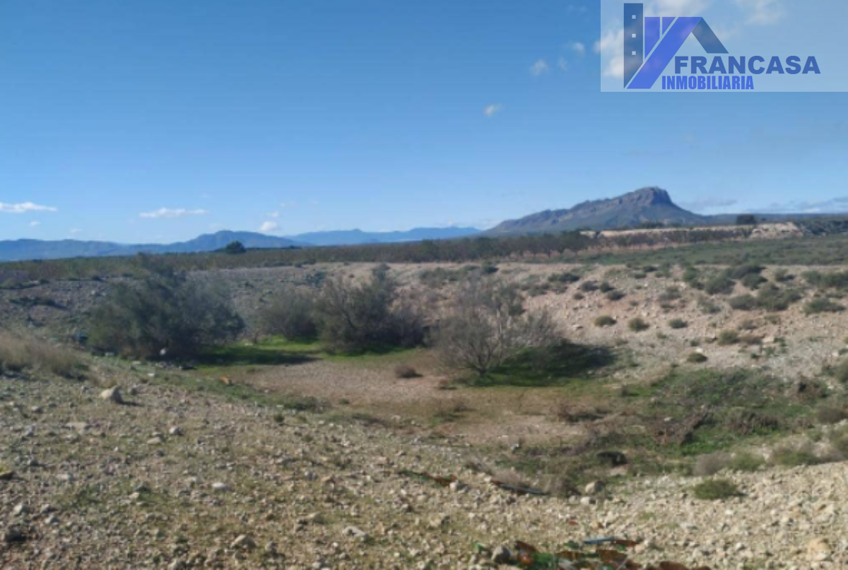 For sale of land in Cieza