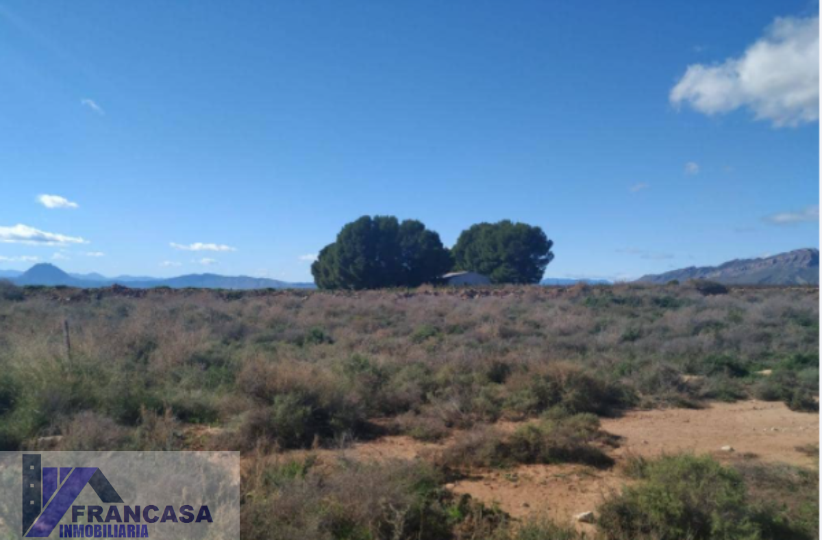 For sale of land in Cieza