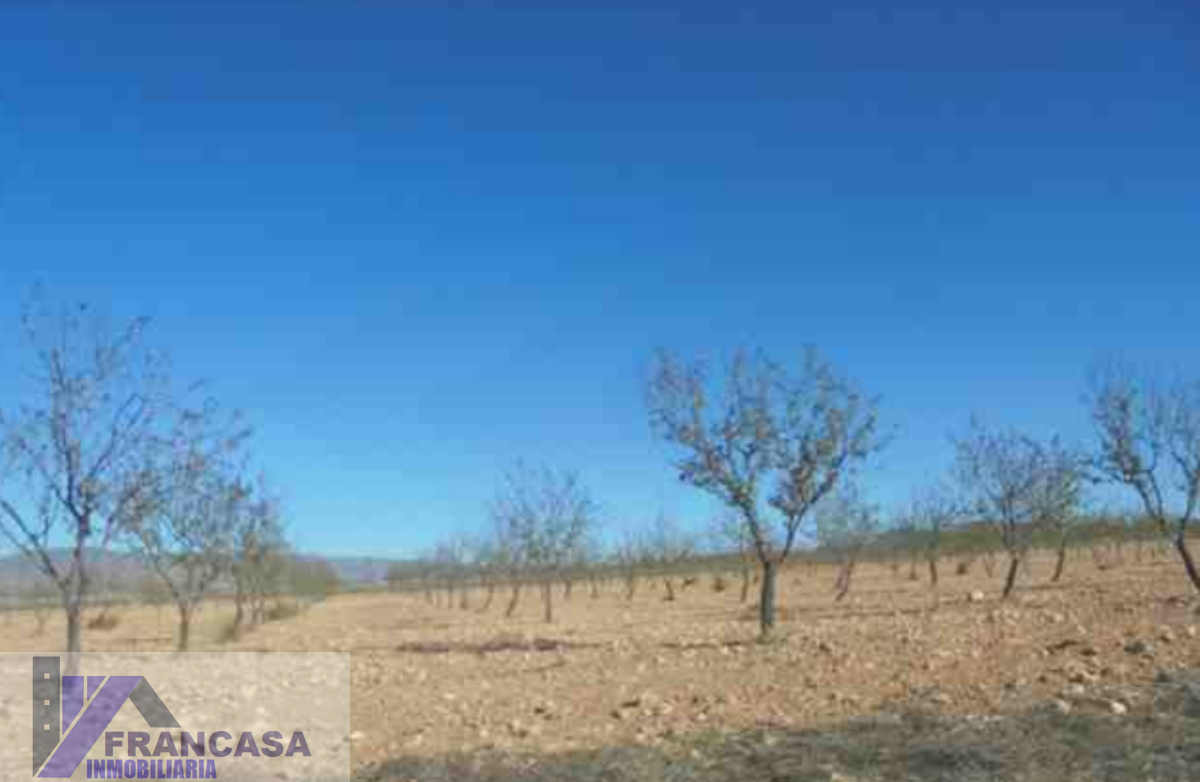 For sale of land in Cieza