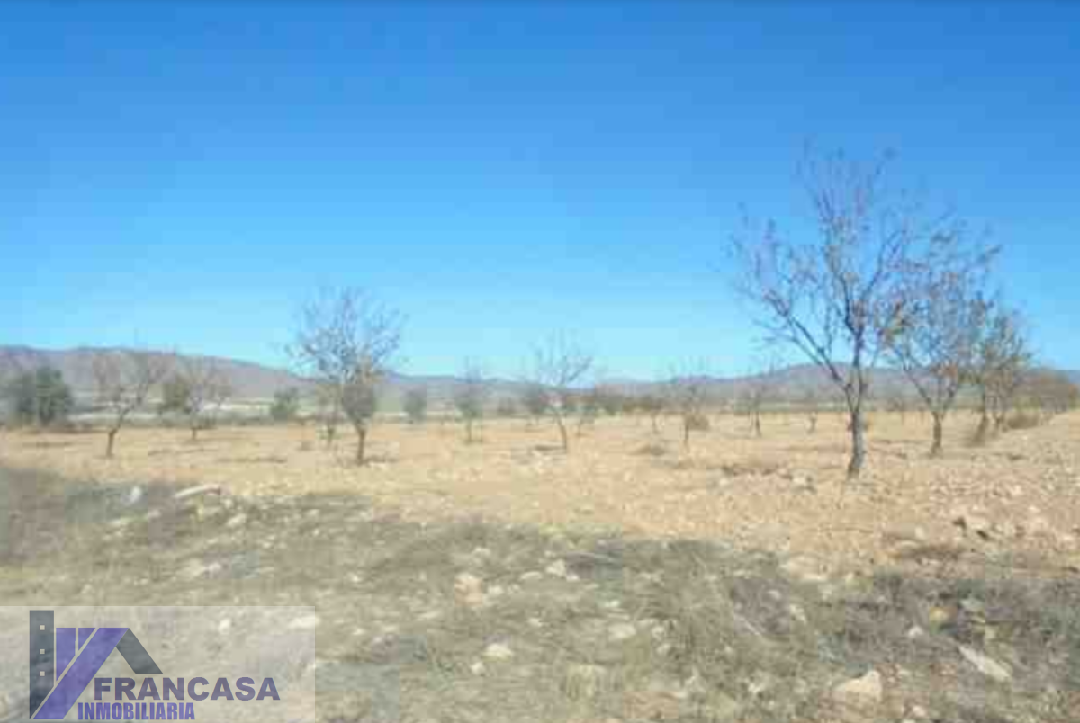 For sale of land in Cieza