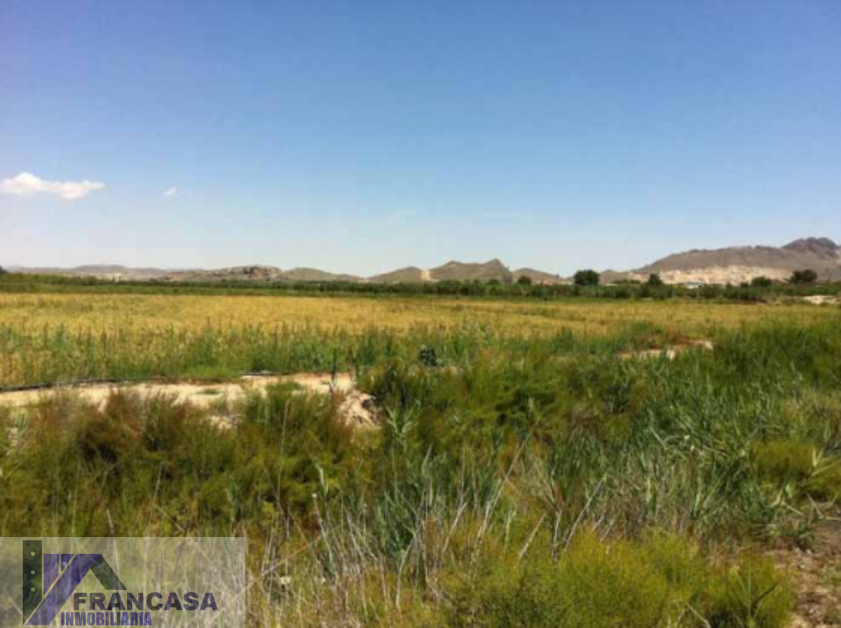 For sale of rural property in Cieza