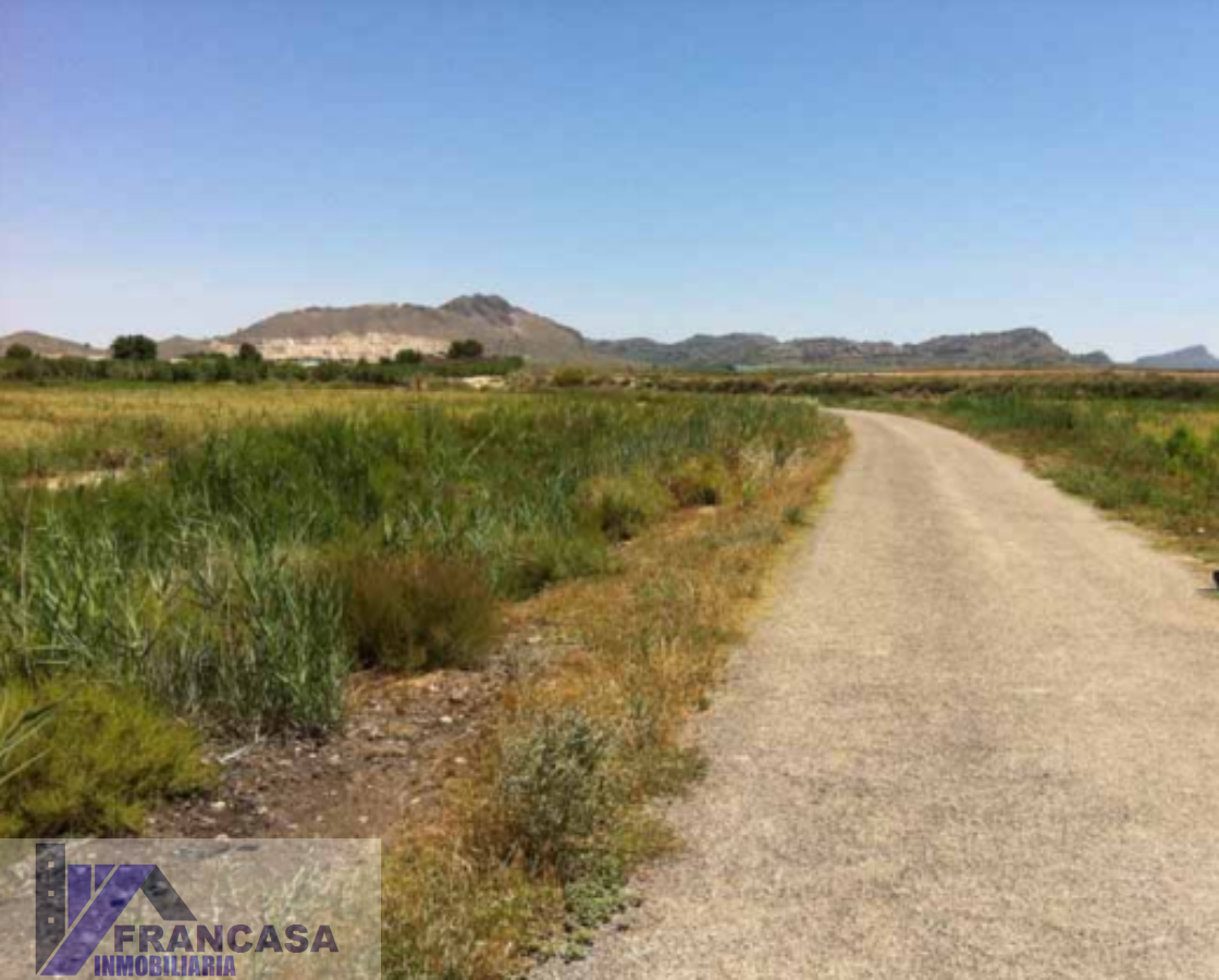 For sale of rural property in Hellín