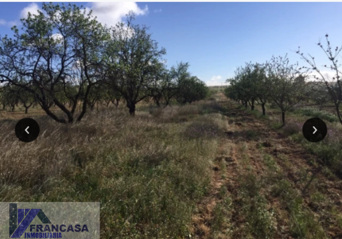 For sale of rural property in Murcia