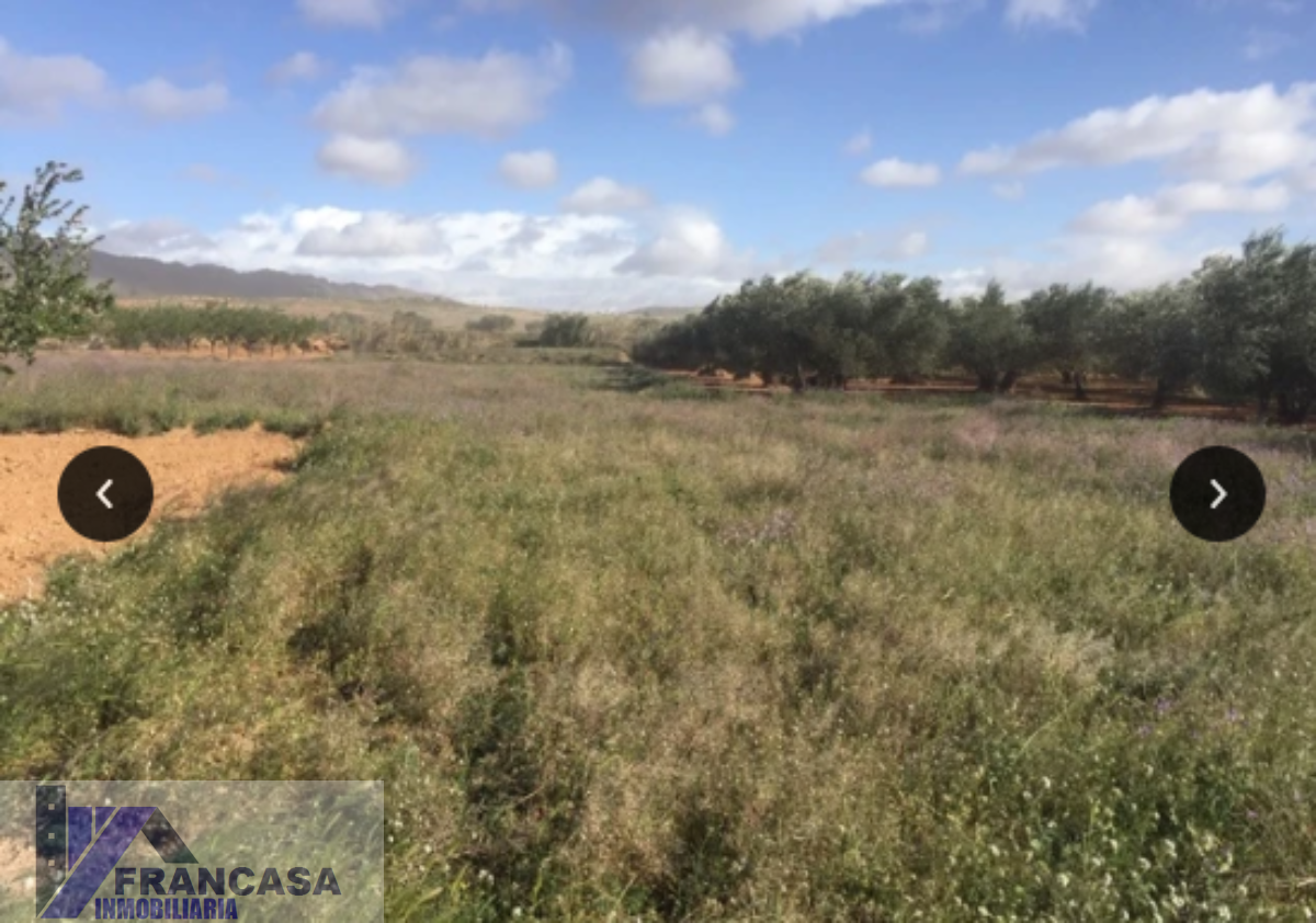 For sale of rural property in Murcia