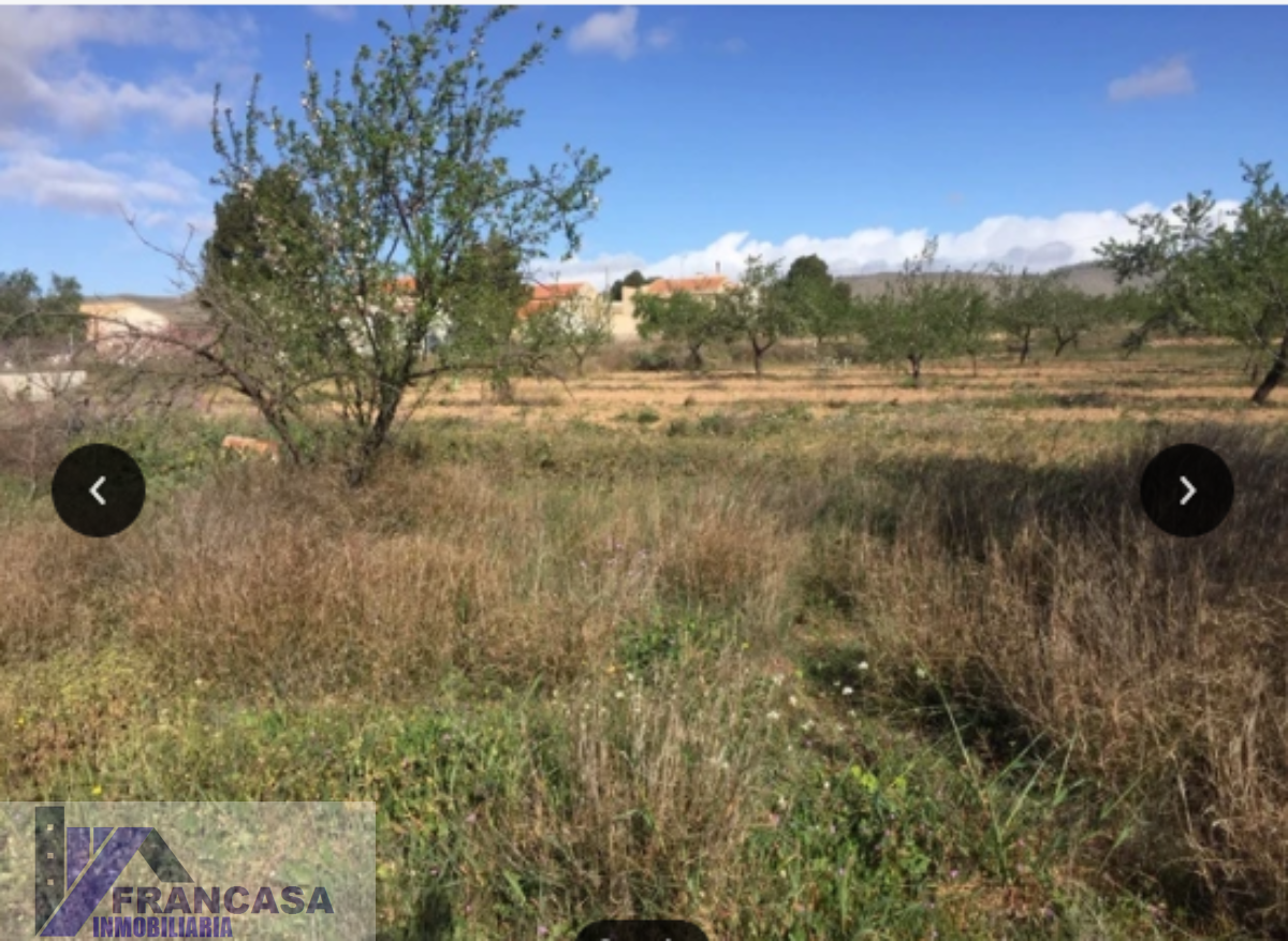 For sale of rural property in Murcia