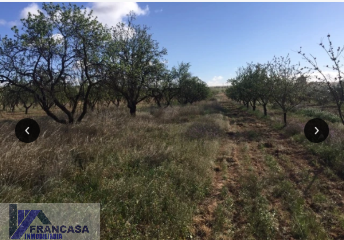 For sale of rural property in El Pinós