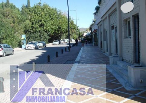 Venta de local en Nueva Andalucía
