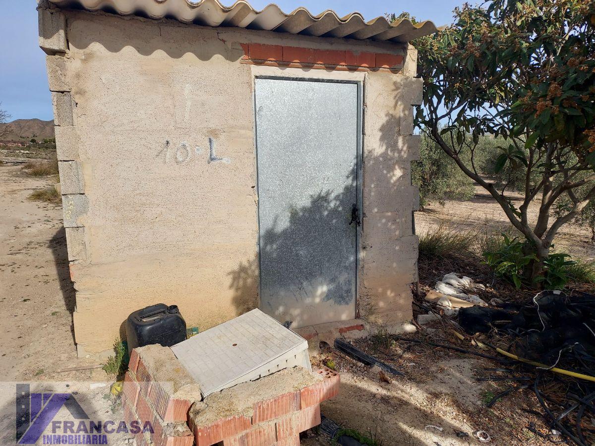 For sale of rural property in Cieza