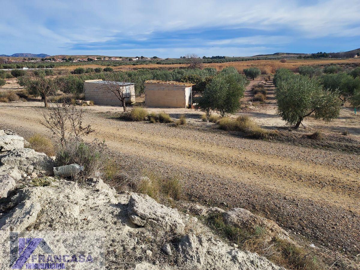 For sale of rural property in Cieza