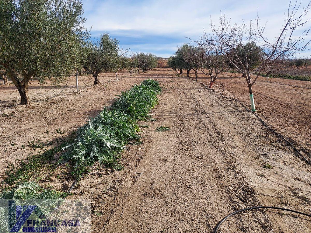 For sale of rural property in Cieza