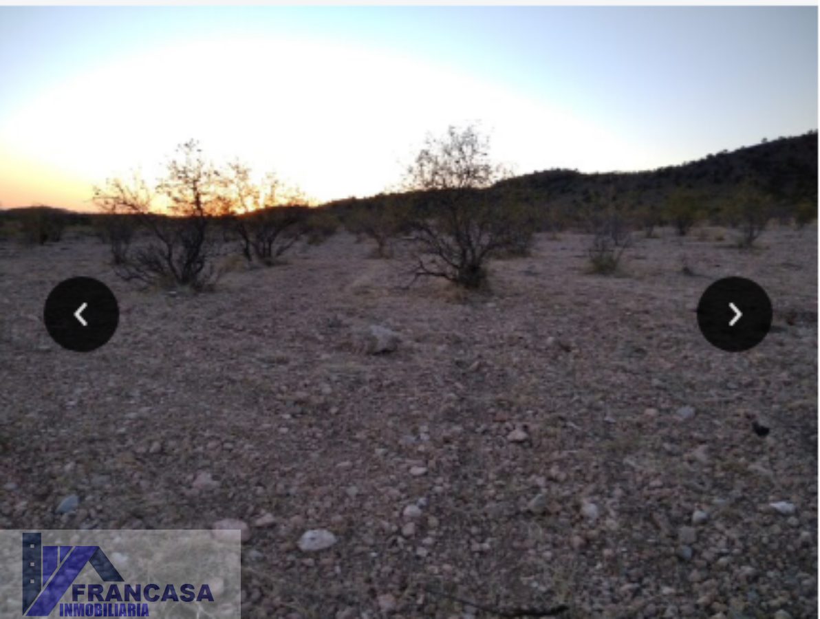 For sale of rural property in Jumilla