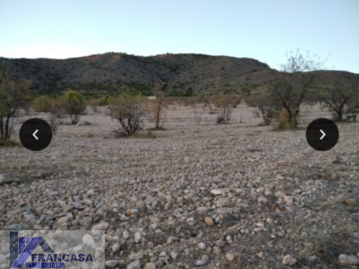 Venta de finca rústica en Jumilla