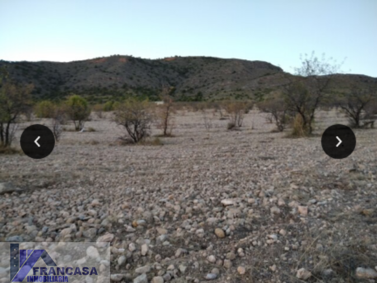 For sale of rural property in Jumilla