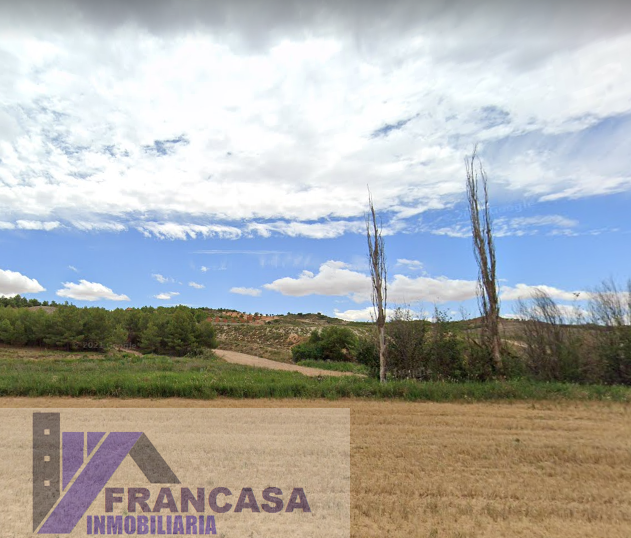 Venta de finca rústica en Zarza de Tajo