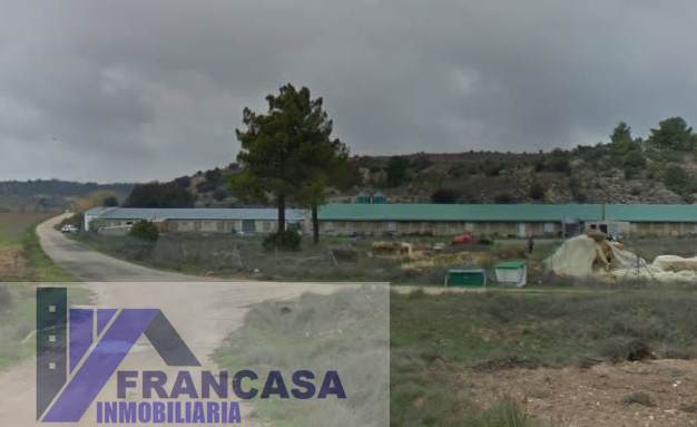 Venta de finca rústica en Villar de Domingo García