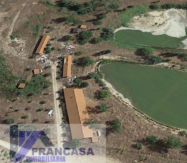 Finca en venta en OLIVAR GRANDE, Escalona