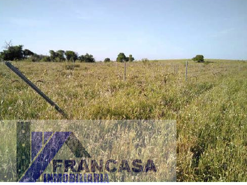 For sale of rural property in Higuera de Llerena