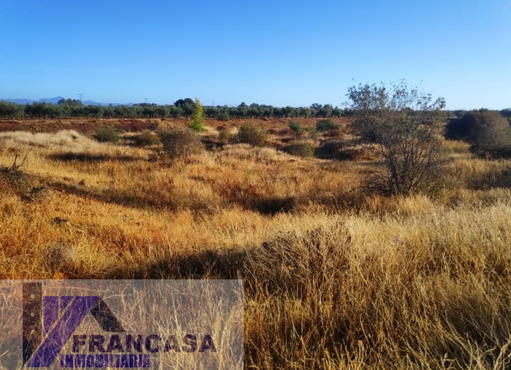 Venta de finca rústica en Navalvillar de Pela