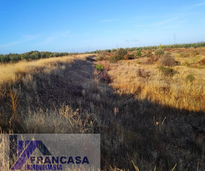 Venta de finca rústica en Navalvillar de Pela