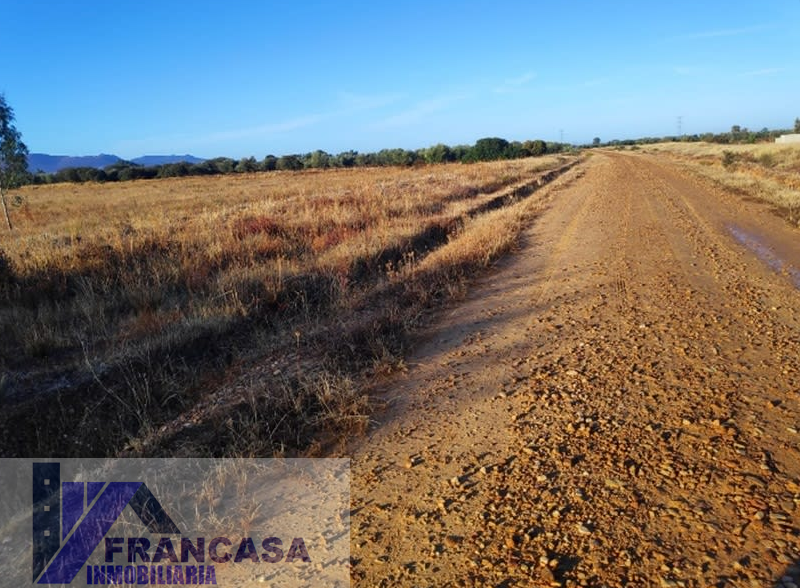 Venta de finca rústica en Navalvillar de Pela