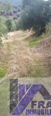For sale of rural property in Villacarrillo