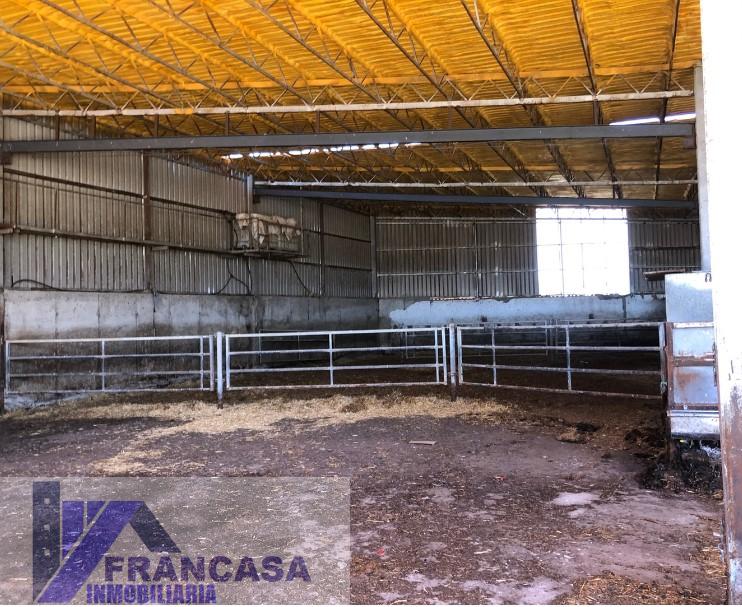 Venta de finca rústica en Larrodrigo