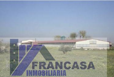 For sale of rural property in Herencia