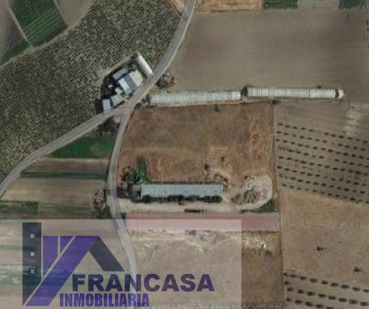 Venta de finca rústica en Herencia