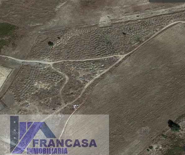 For sale of rural property in Ciempozuelos