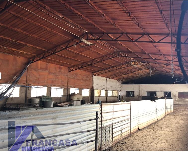 Venta de finca rústica en Casas de Don Pedro