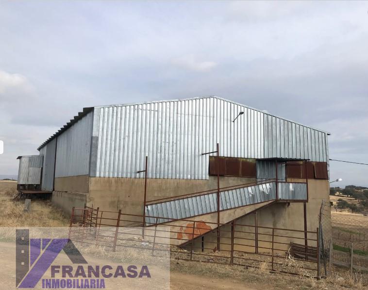 Venta de finca rústica en Casas de Don Pedro