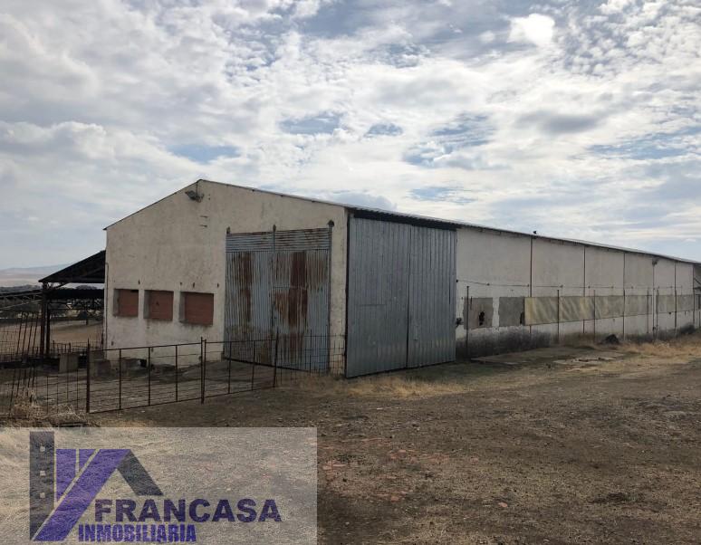 Venta de finca rústica en Casas de Don Pedro